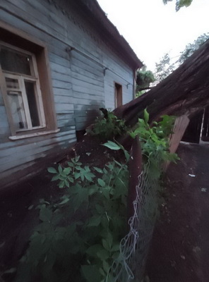 В Рязани два исторических здания повредило упавшим деревом